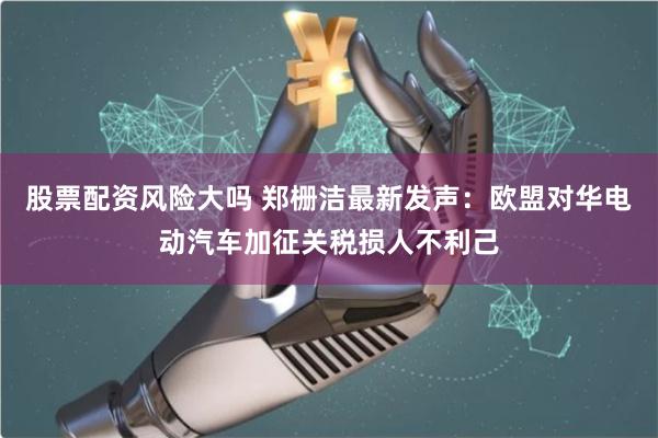 股票配资风险大吗 郑栅洁最新发声：欧盟对华电动汽车加征关税损人不利己