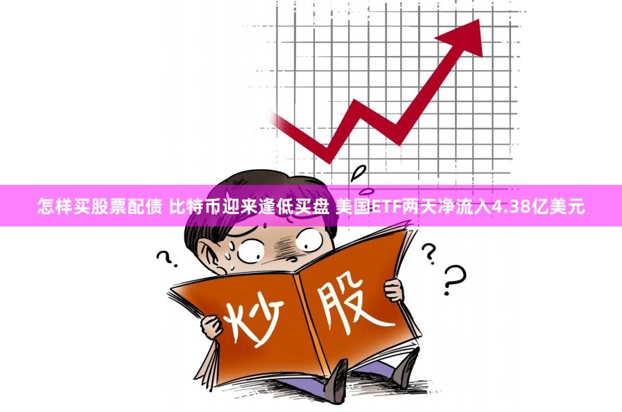 怎样买股票配债 比特币迎来逢低买盘 美国ETF两天净流入4.38亿美元
