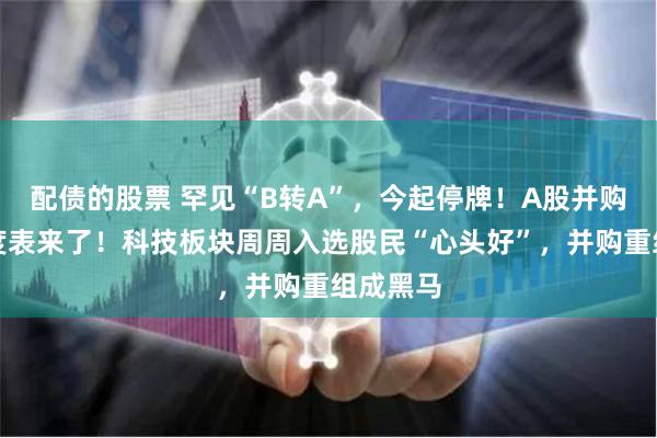 配债的股票 罕见“B转A”，今起停牌！A股并购重组进度表来了！科技板块周周入选股民“心头好”，并购重组成黑马
